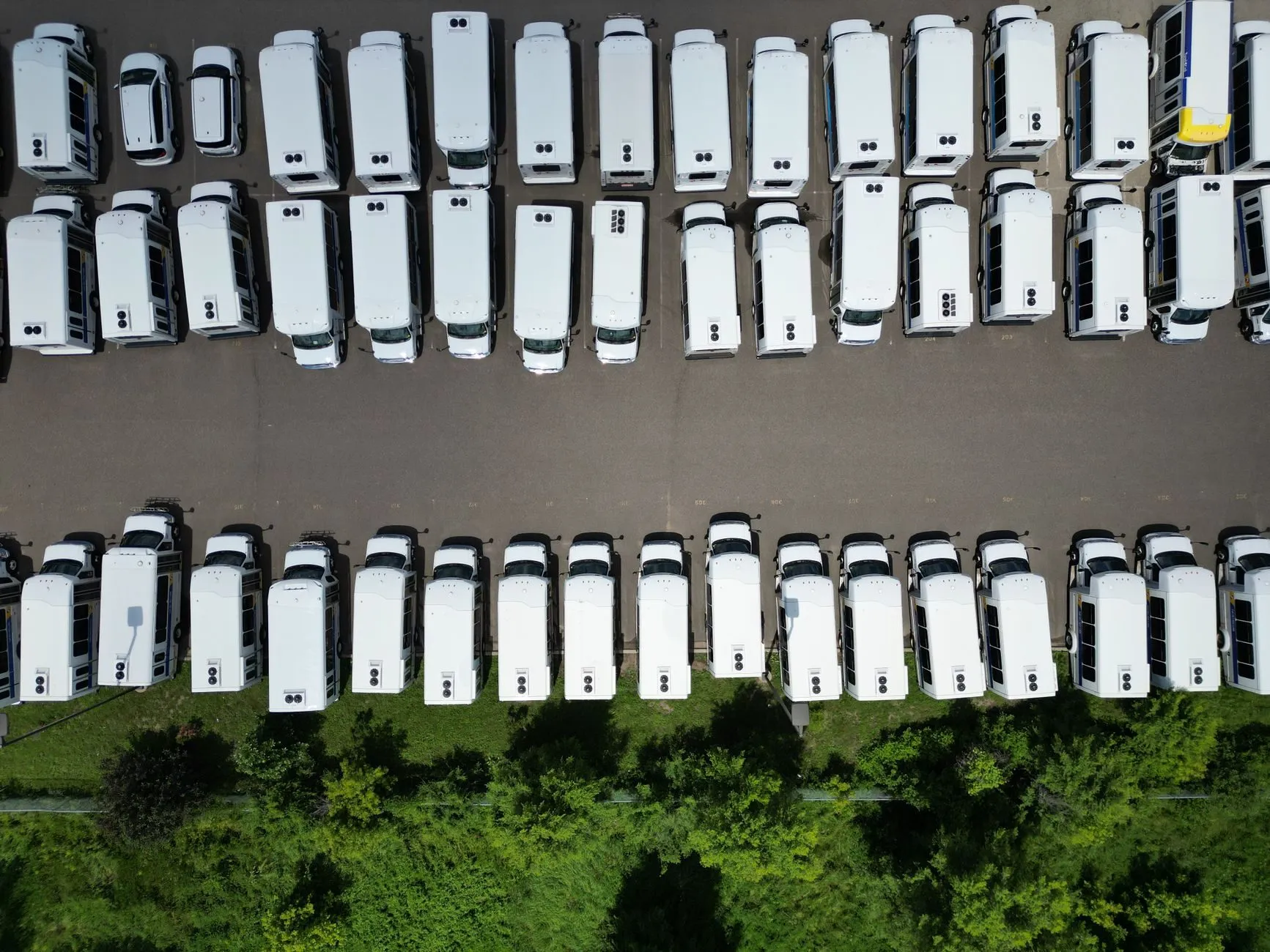 Rows of white vans parked in a yard, seen from directly above